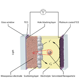 D-S solar cell diagram
